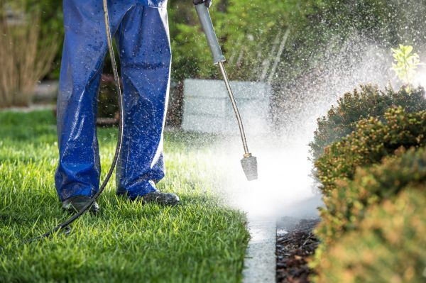 Curb Cleaning in Richmond