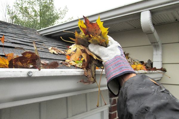 Eaves Cleaning in Richmond