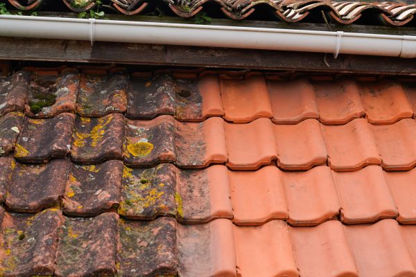 Industrial Roof Cleaning in Richmond