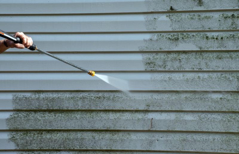 House Siding Cleaning