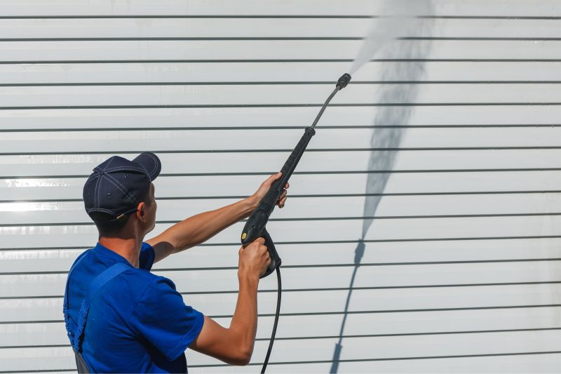 Optimal Timing for Power Washing
