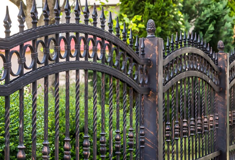 Wrought Iron Fence Cleaning